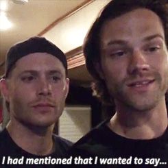 SPN comments gif